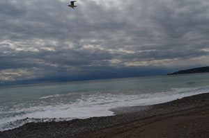 20132402 mentone 4