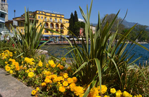 RIVA