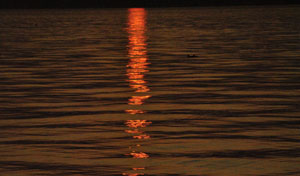 SIRMIONE 6