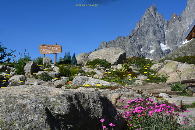 COURMAYEUR – PAVILLON -SKYWAY
