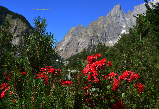 COURMAYEUR – VAL FERRET