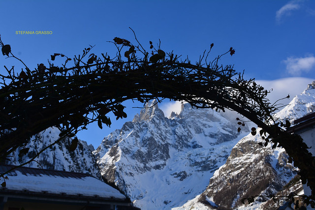 COURMAYEUR – ENTREVES  2020
