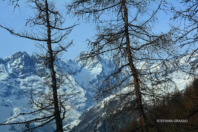 VALTOURNENCHE – CHAMPLEVE – BRENGAZ INVERNO 2020