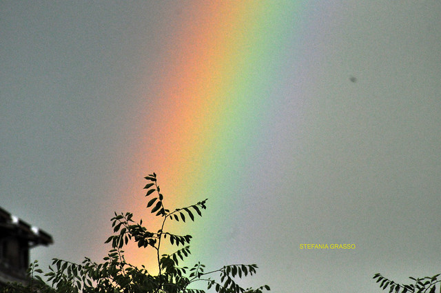 ARCOBALENO VERCELLI 2 LUGLIO 2020