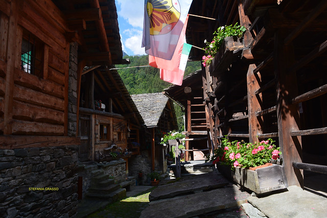 ALAGNA VALSESIA – IM WALD 2020