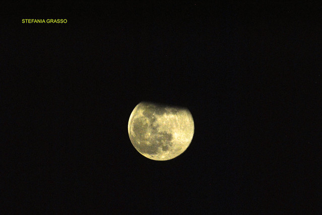 MOON VIEW – VERCELLI
