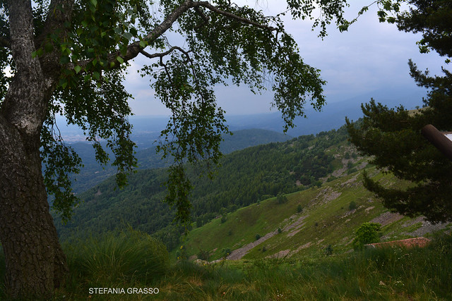 PERCORSI MISTERIOSI – PANORAMICA ZEGNA-ALPE MARGOSIO-BIELMONTE