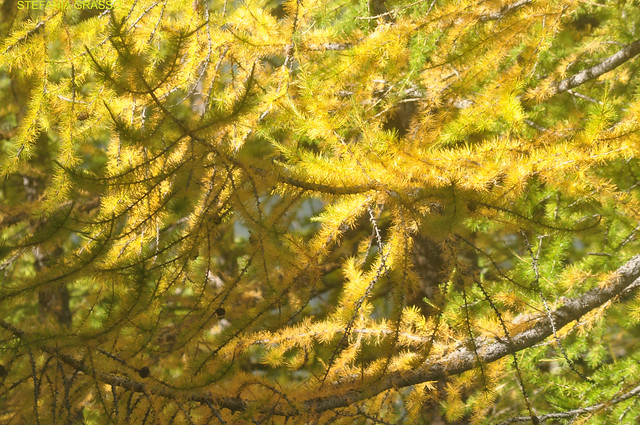LES COULEURS DE L’AUTOMNE 2021