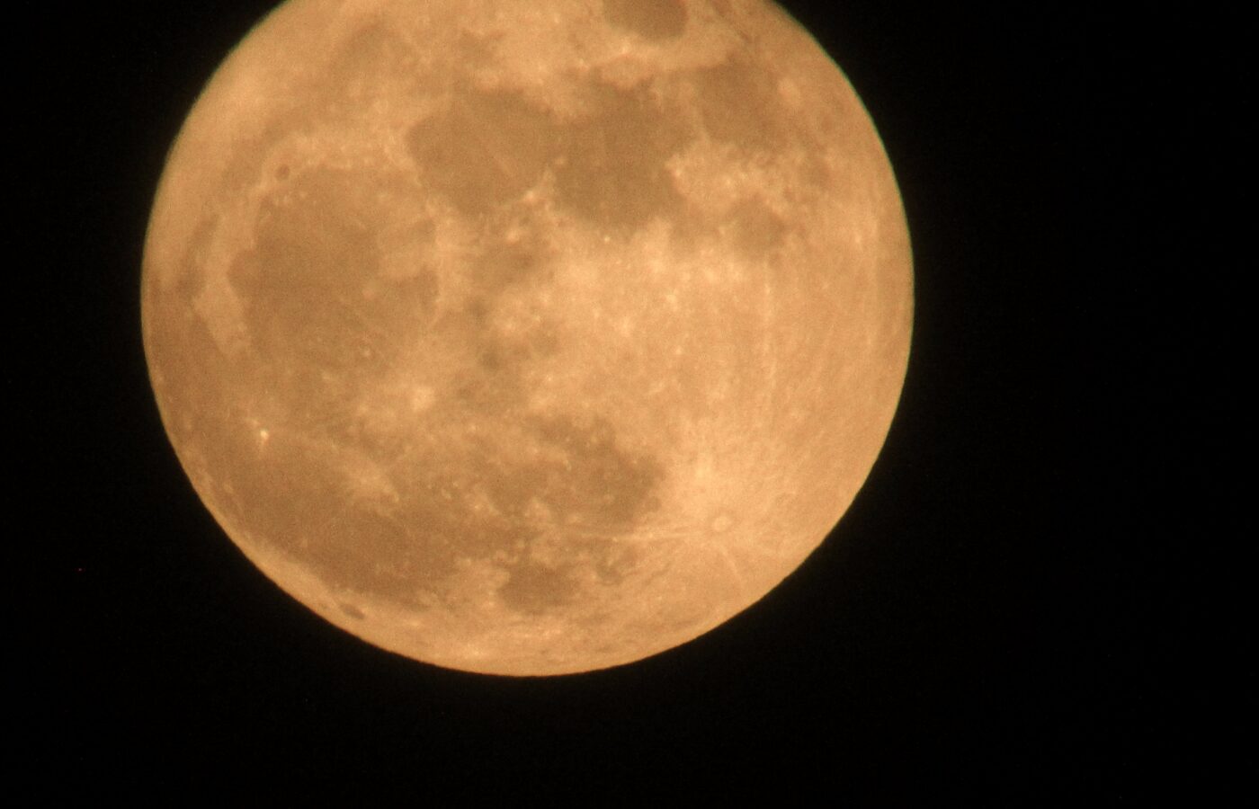 LUNA PIENA DEI FIORI